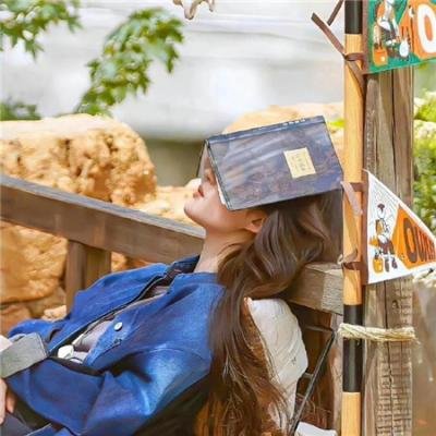 蔷薇风暴免费在线观看